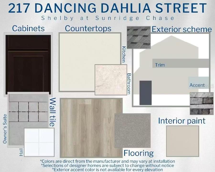217 Dancing Dahlia St, Ruskin, FL 33570 photo