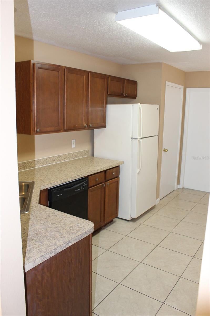 11111 Bramblebrush St, Tampa, FL 33624 photo