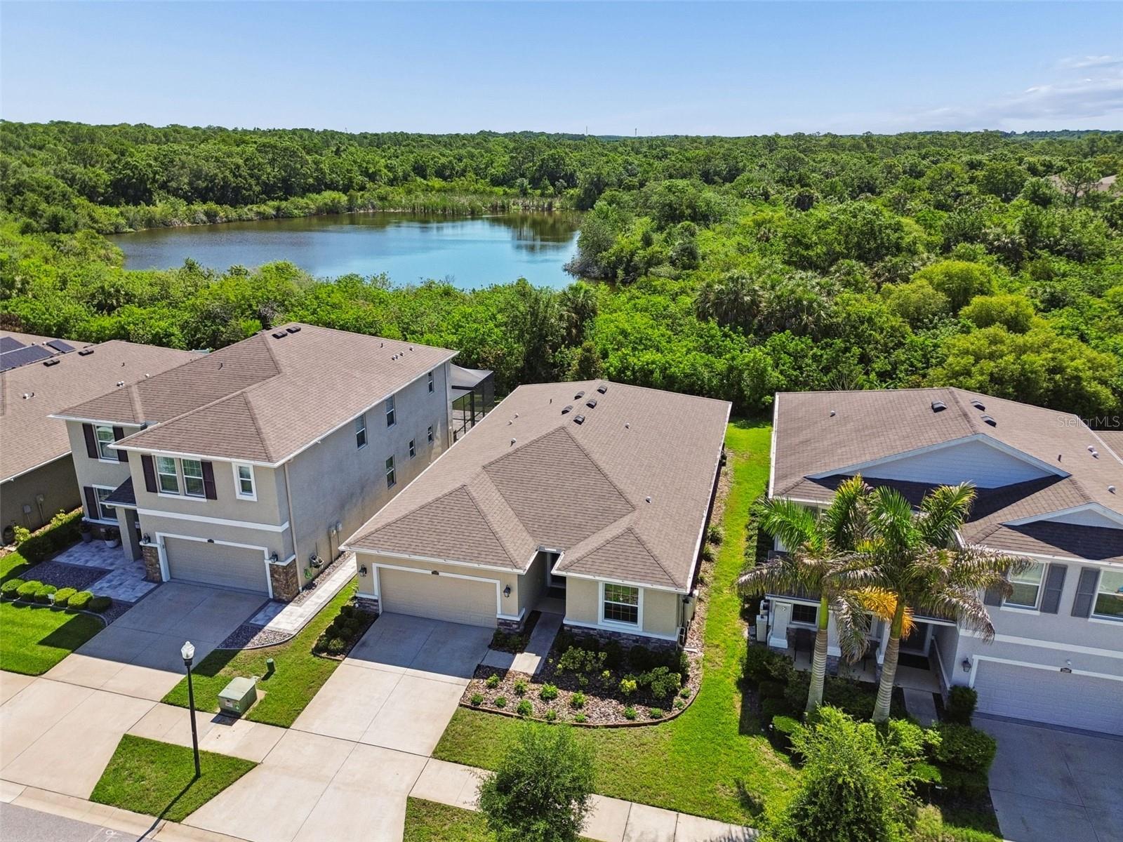 12507 Candleberry Cir, Tampa, FL 33635