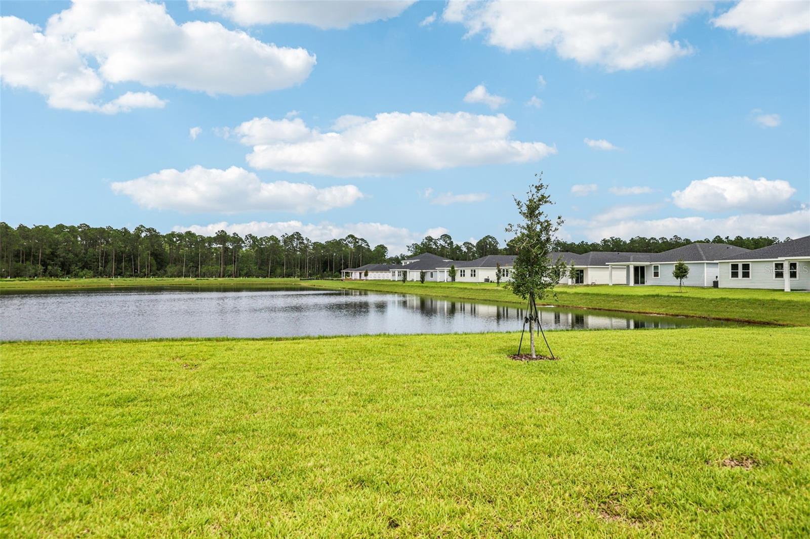 8 Wandering Creek Way, Palm Coast, FL 32164 photo