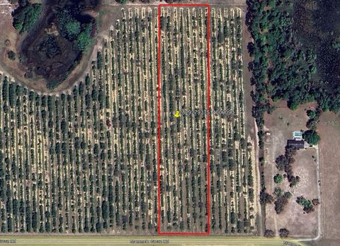  in LAKE WALES FL MAMMOTH GROVE ROAD.jpg