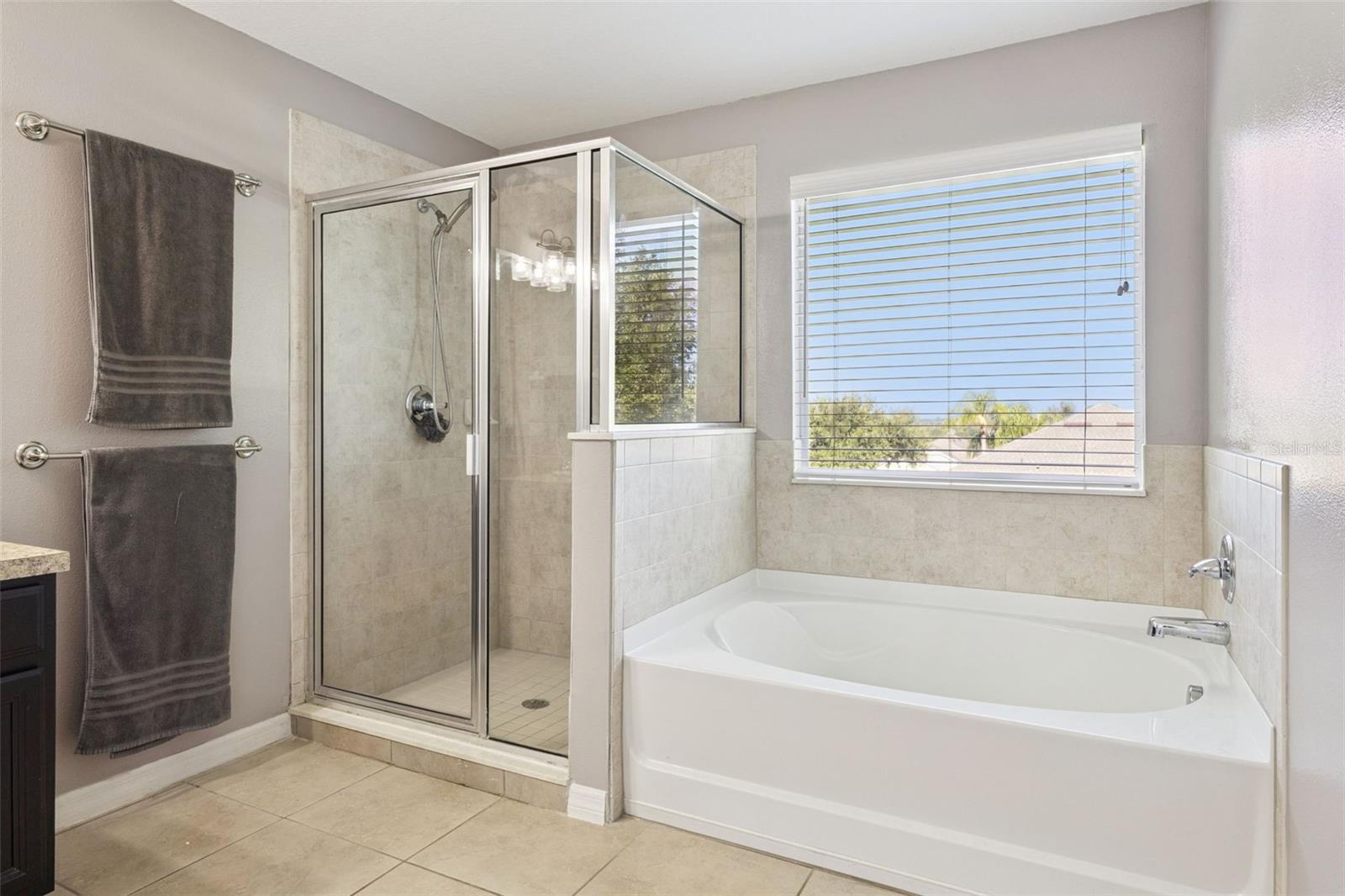 11531 Arbor Gate Dr, Clermont, FL 34711 photo