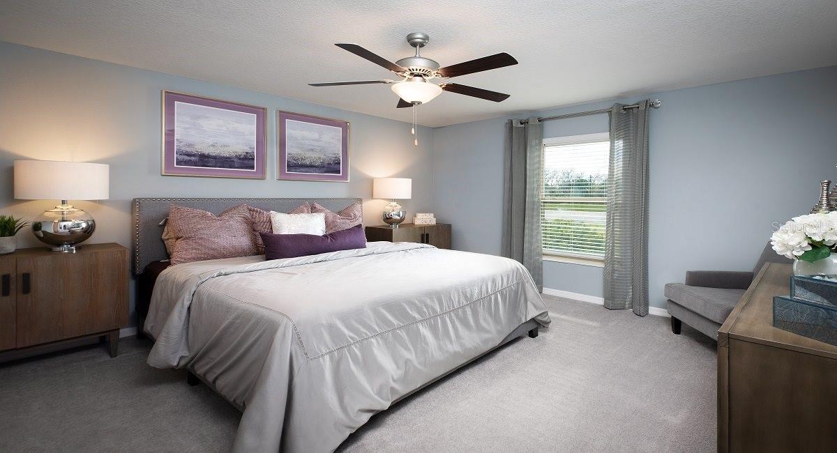 22075 Blazing Star Run, Land O Lakes, FL 34637 photo