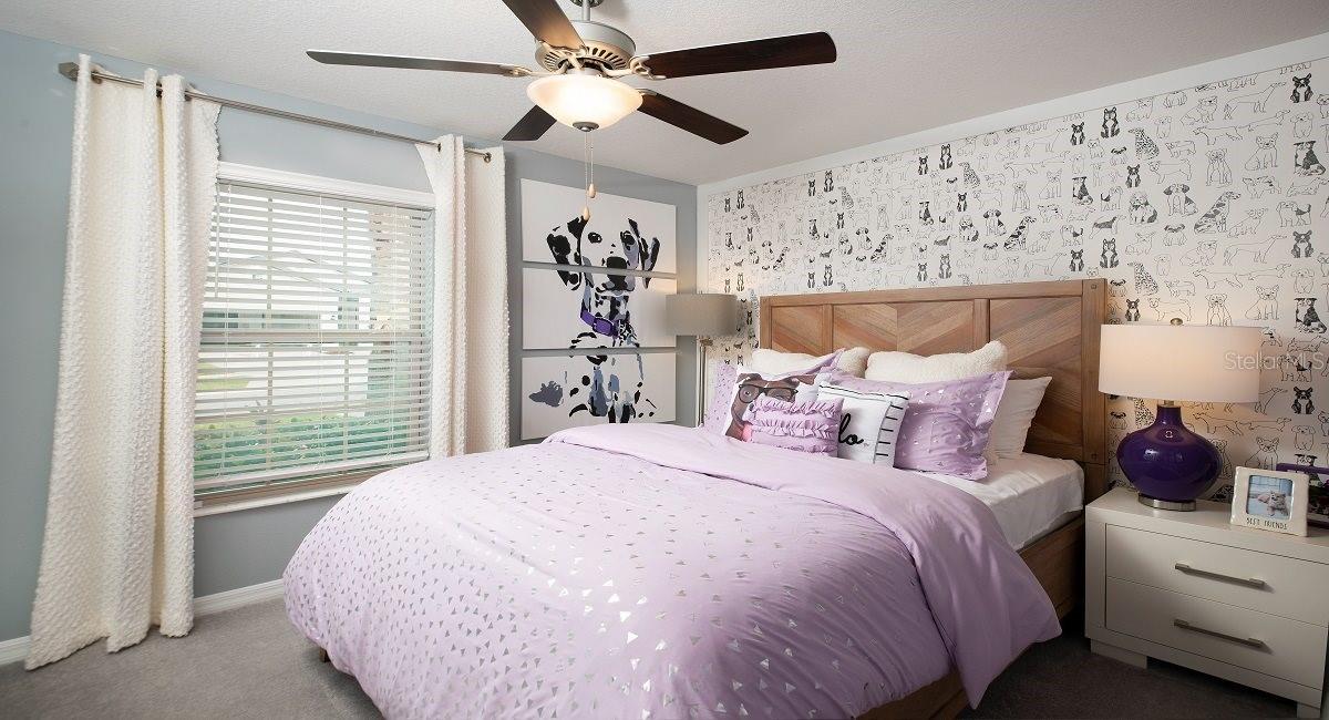 22075 Blazing Star Run, Land O Lakes, FL 34637 photo