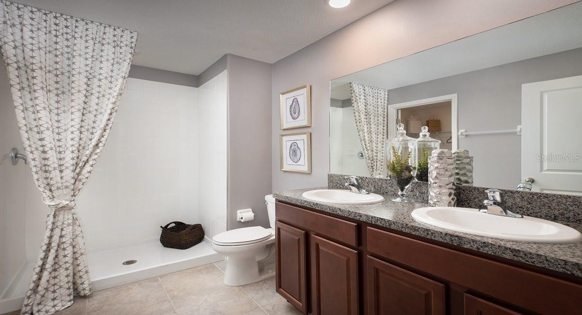 22075 Blazing Star Run, Land O Lakes, FL 34637 photo