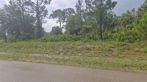  in LEHIGH ACRES FL 733 PALMER STREET.jpg