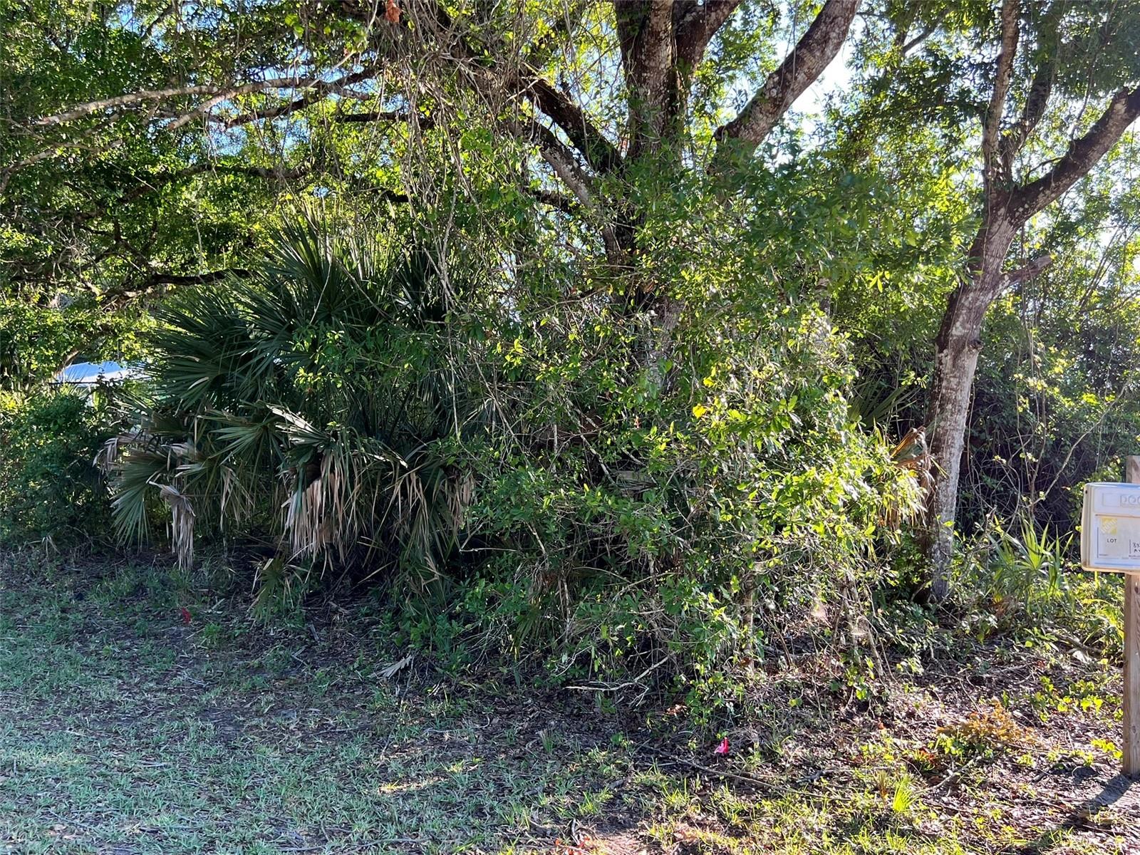 8965 100 Ave, Vero Beach, FL 32967 photo