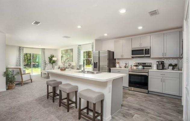 3546 E Diana Ln, Inverness, FL 34453 photo