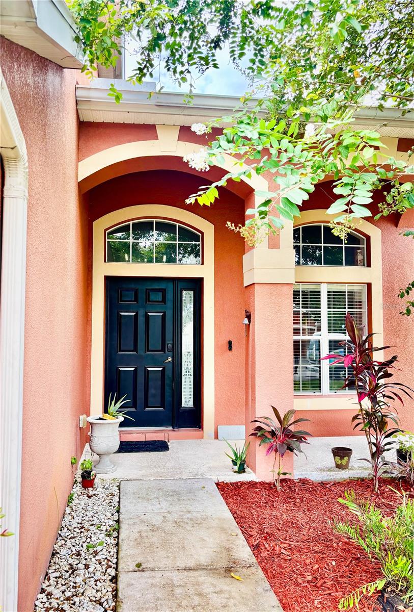 11153 Shelter Cove Loop, New Port Richey, FL 34654 photo