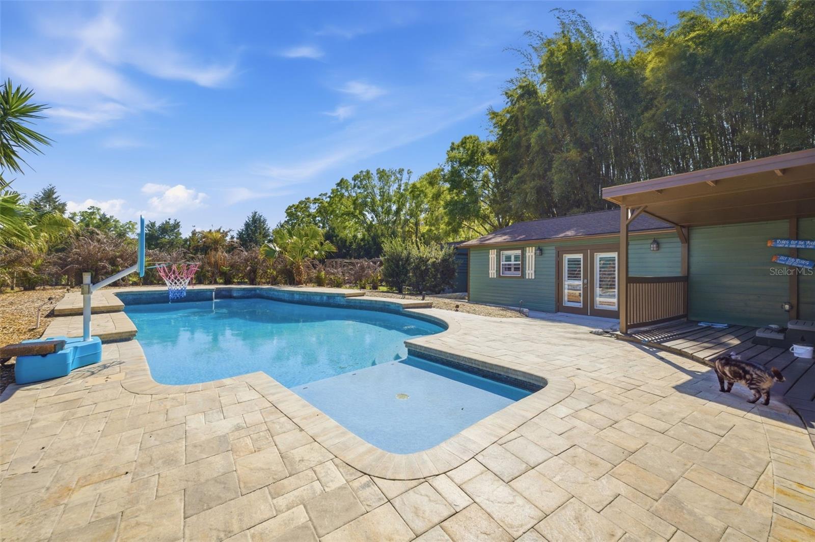 3752 Keystone Rd, Tarpon Springs, FL 34688 photo
