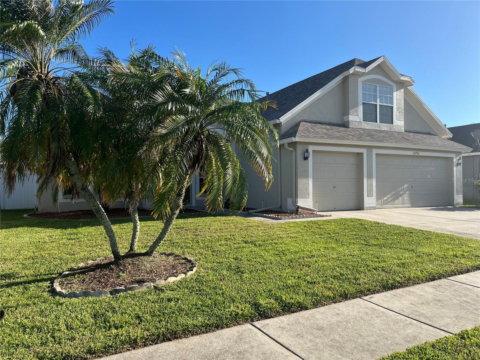 22736 Beltrees Ct, Land O Lakes, FL 34639 photo