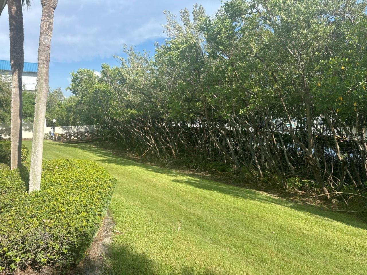 1312 Pasadena Ave #15, Saint Petersburg, FL 33707 photo