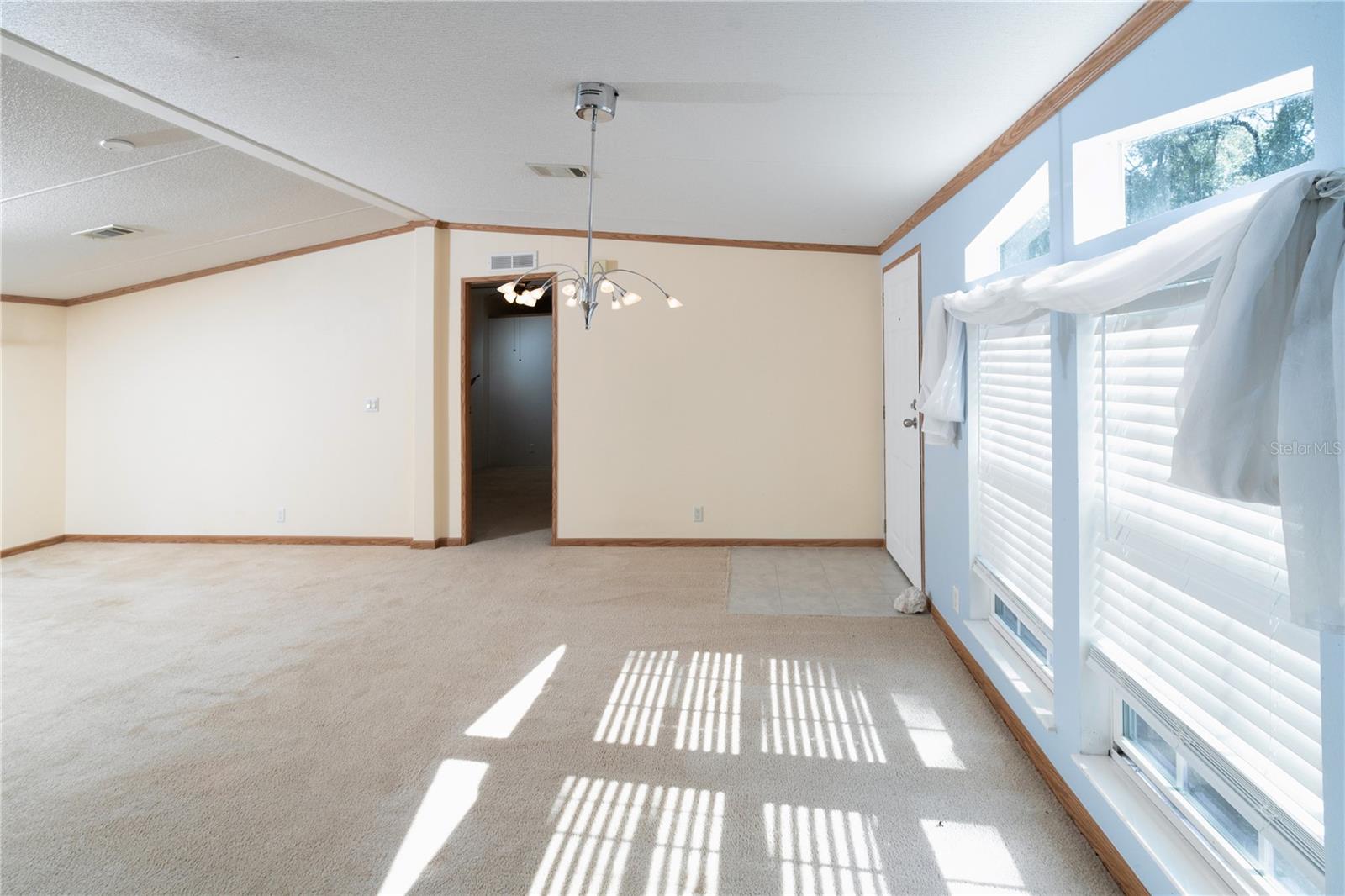 11934 County Road 656h, Webster, FL 33597 photo