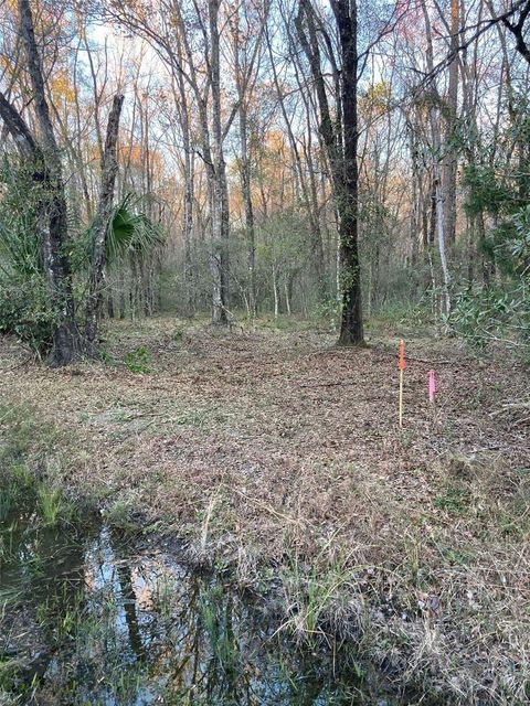  in HASTINGS FL 10450 WEATHERBY AVENUE.jpg