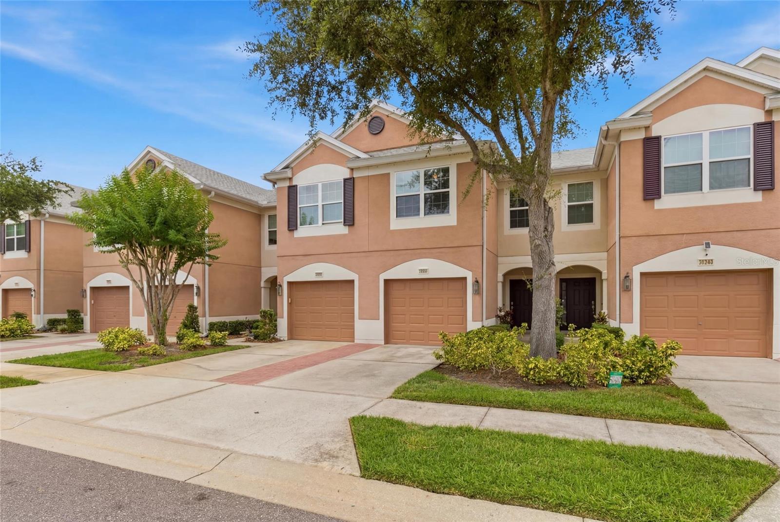 26531 Chimney Spire Ln, Wesley Chapel, FL 33544 photo