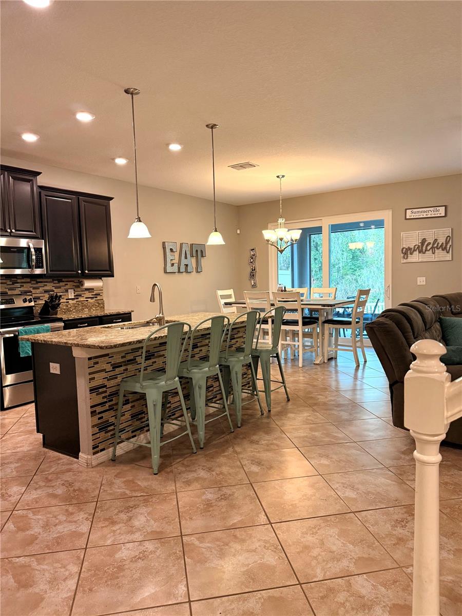 14250 Blue Dasher Dr, Riverview, FL 33569 photo