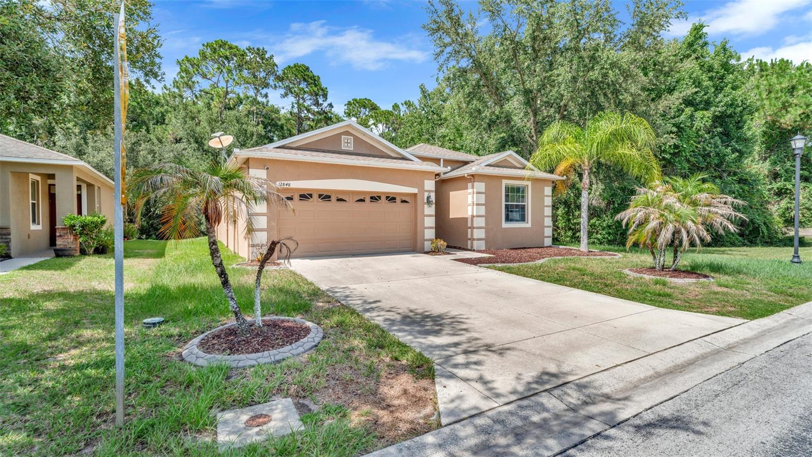 12848 White Bluff Rd, Hudson, FL 34669 photo