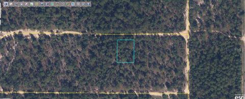  in KEYSTONE HEIGHTS FL 6213 OLGETHORPE AVENUE.jpg