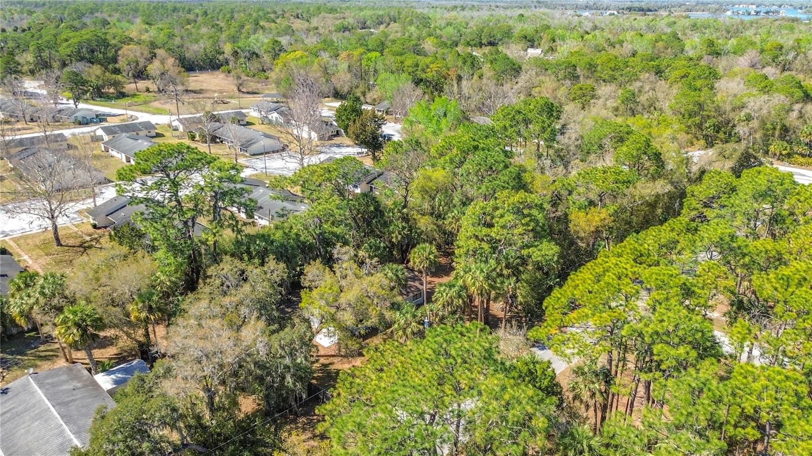416 N Hourglass Terrace, Crystal River, FL 34429 photo