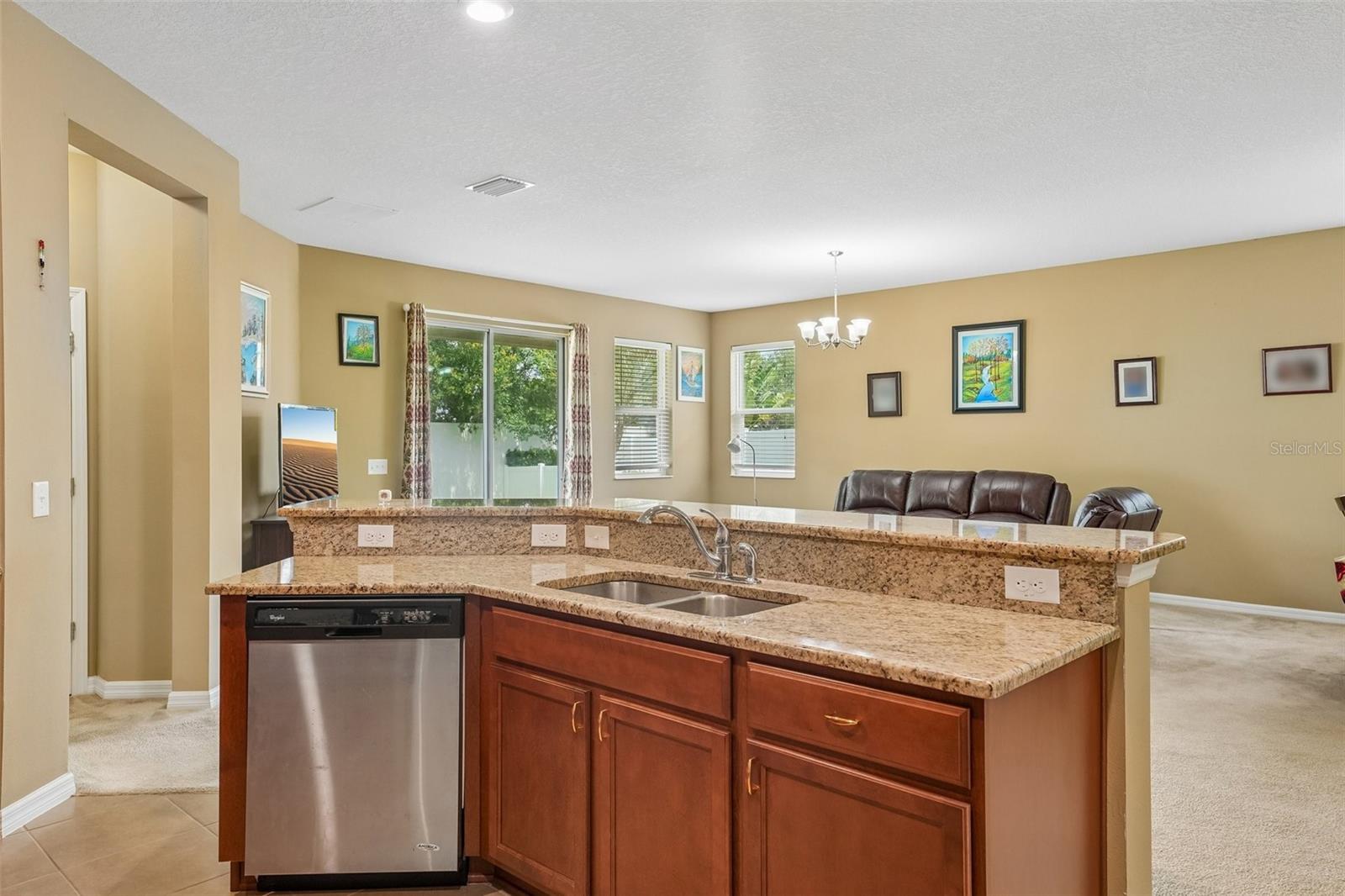 12343 Moss Lake Loop, New Port Richey, FL 34655 photo