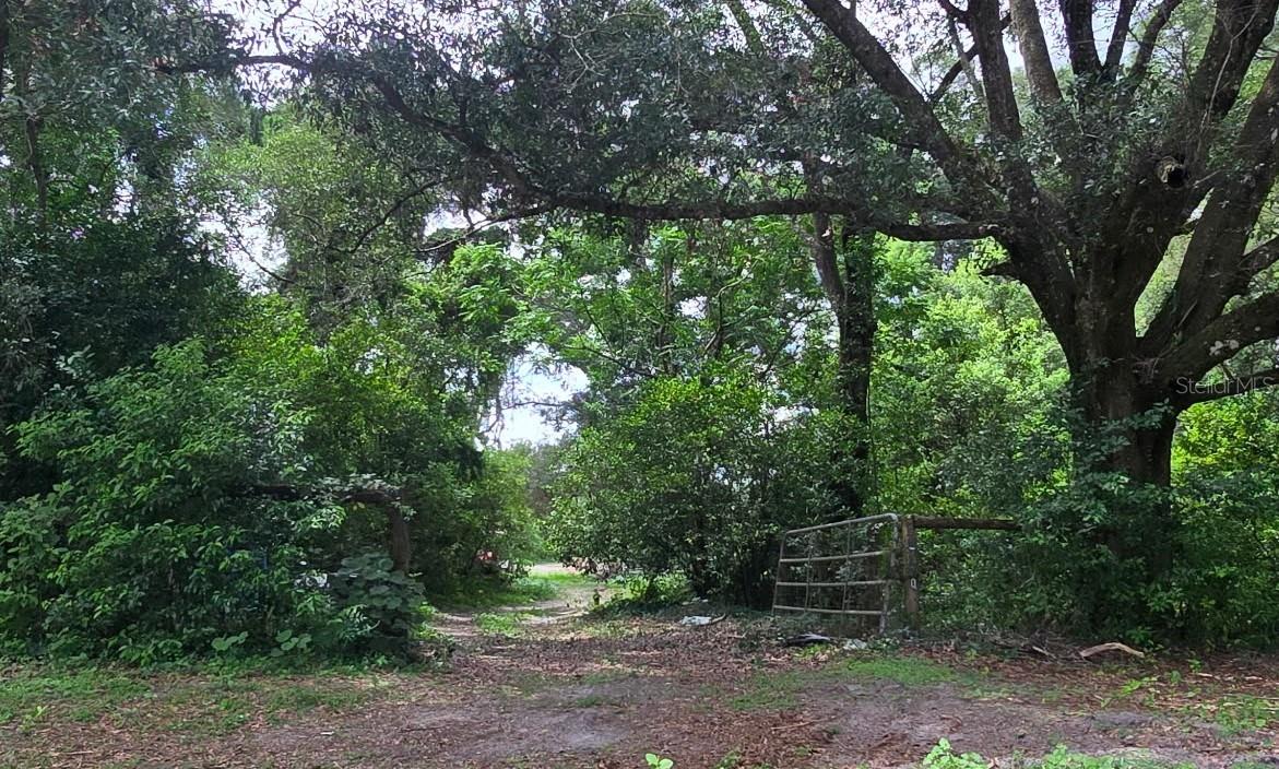 21320 Seneca Hills Rd, Eustis, FL 32736