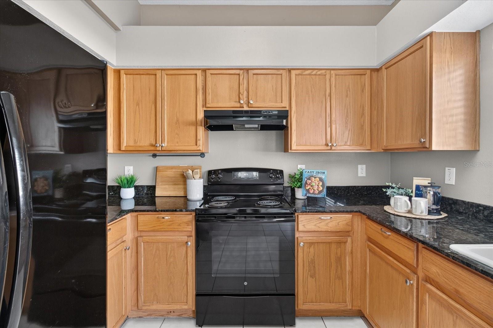11306 Pelican Lake Ct, Riverview, FL 33569 photo