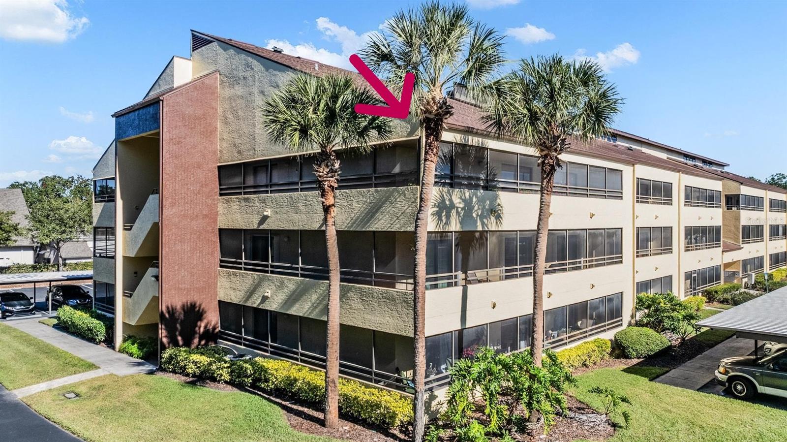 13612 S Village Drive 5212, Tampa, FL 33618 photo