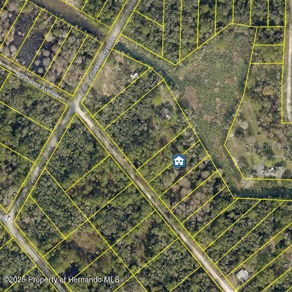 7 Northwest Ave, Webster, FL 33597