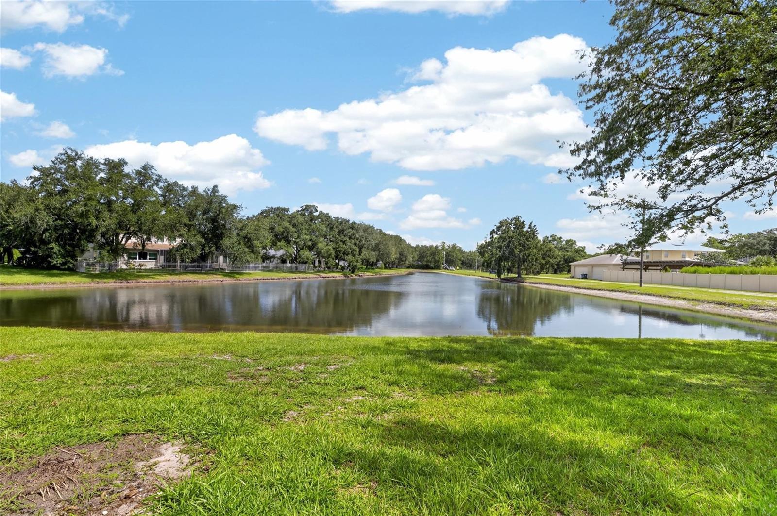 7508 Dunbridge Dr, Odessa, FL 33556 photo