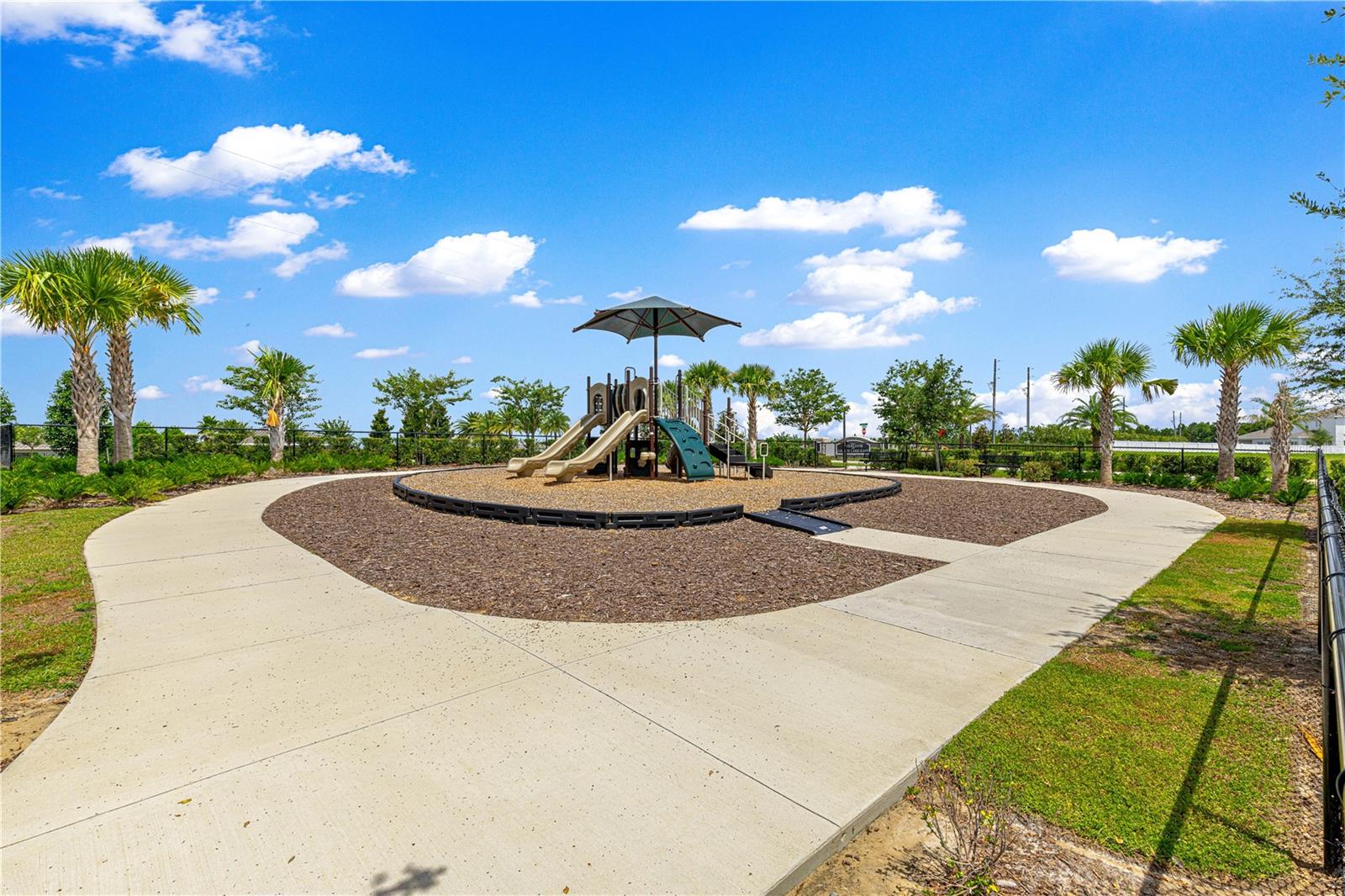 3133 Hill Point St, Minneola, FL 34715 photo