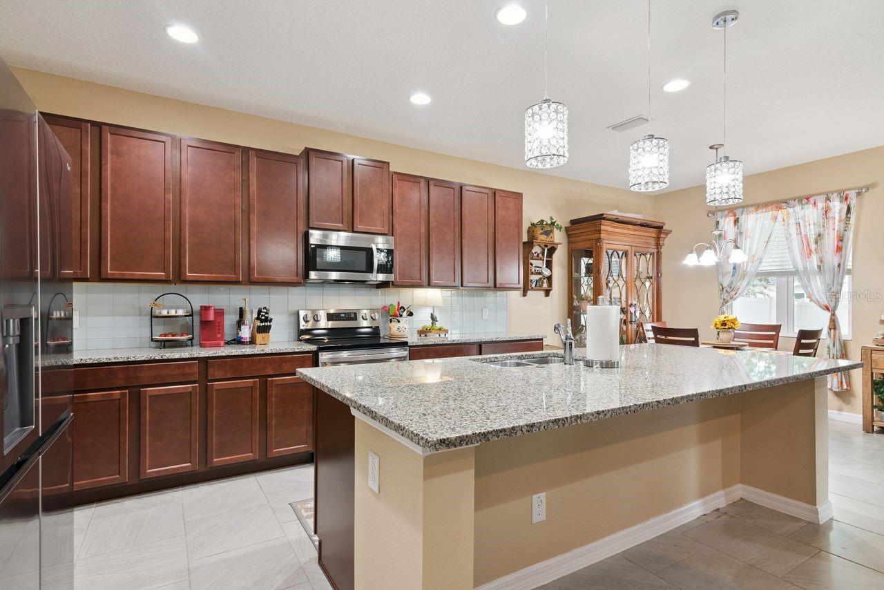 206 Hydra Way, Groveland, FL 34736 photo