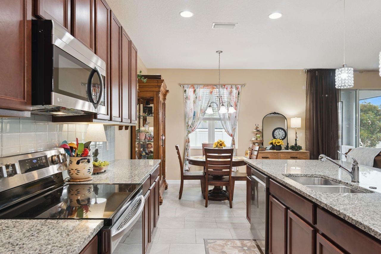 206 Hydra Way, Groveland, FL 34736 photo