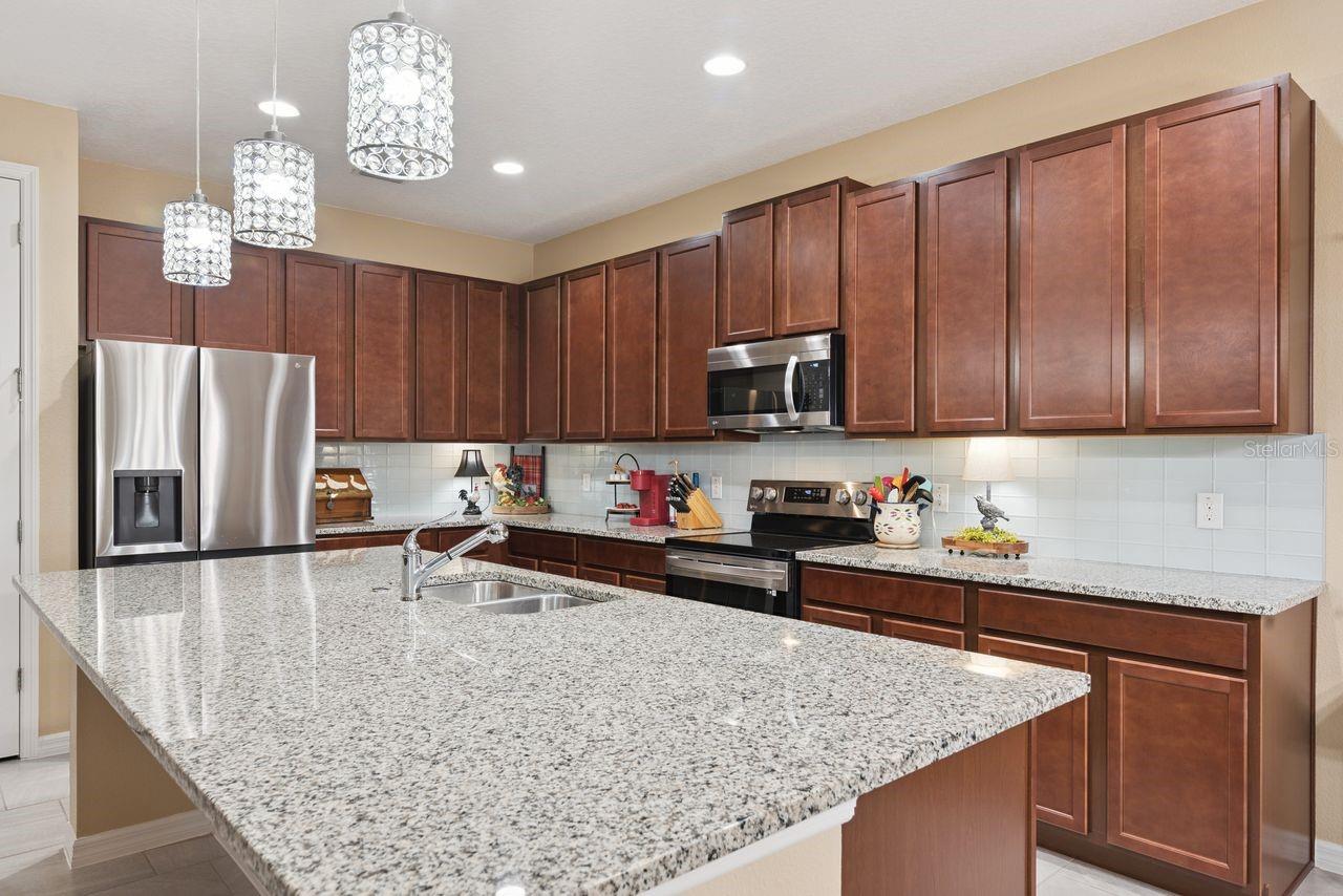 206 Hydra Way, Groveland, FL 34736 photo