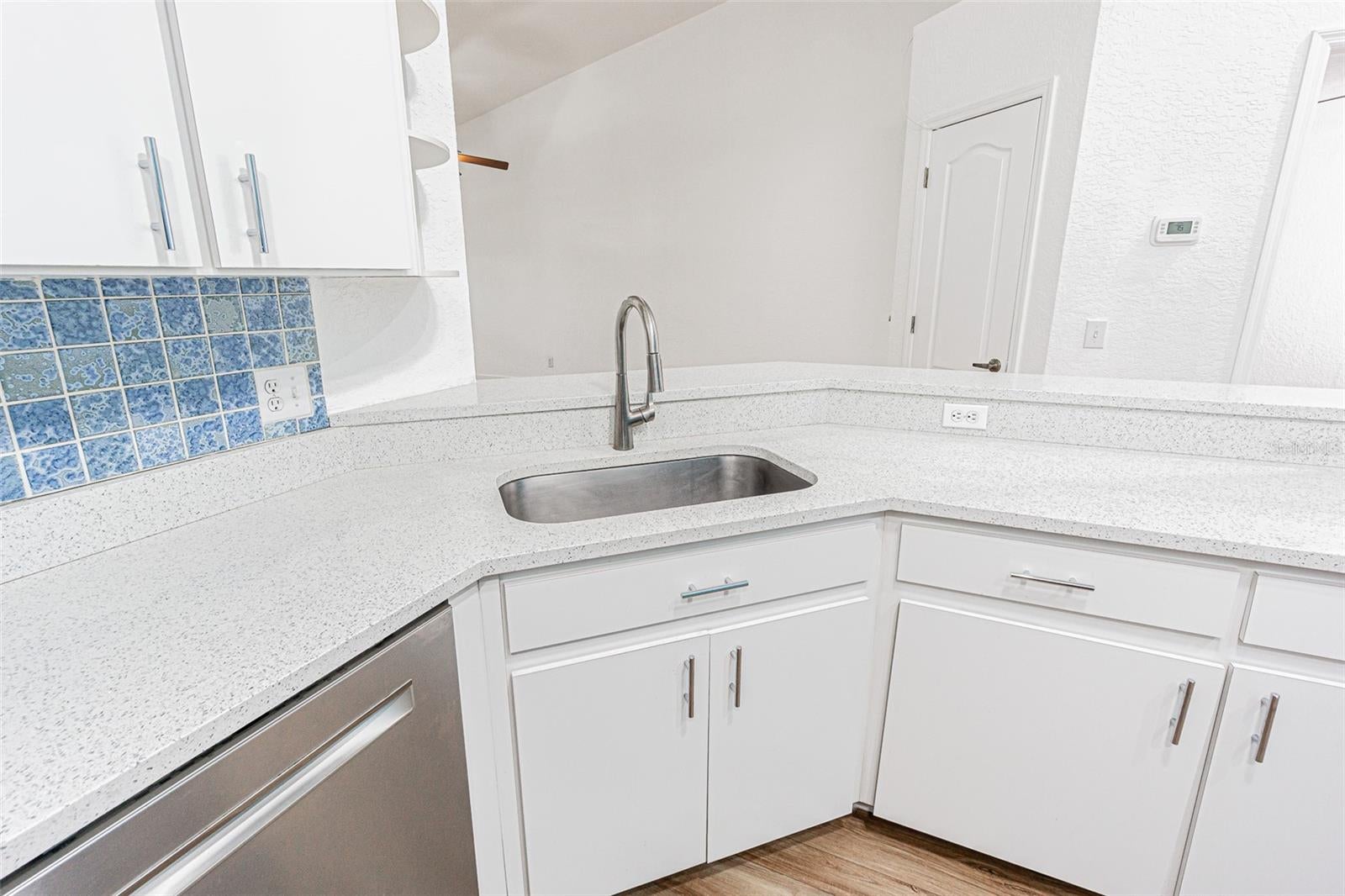 21542 Clubside Loop, Lutz, FL 33549 photo