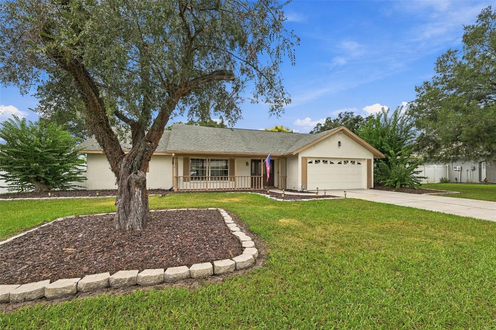 4534 Mohican Trl, Valrico, FL 33594 photo