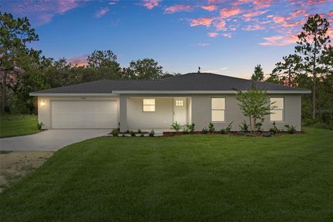 Single Family Residence in BROOKSVILLE FL 14070 RACE AVENUE.jpg