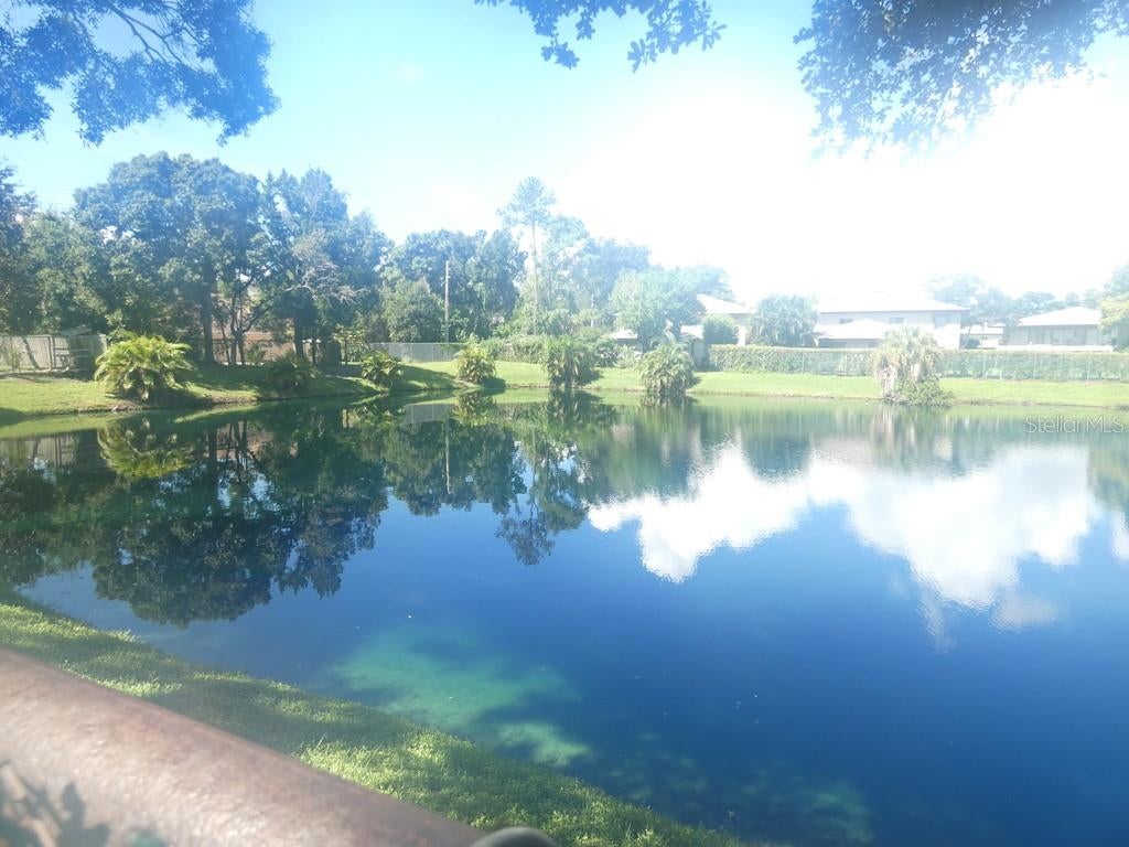 104 Bough Ave #104, Clearwater, FL 33760 photo
