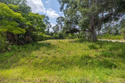  in NORTH PORT FL D ALLYON DRIVE.jpg