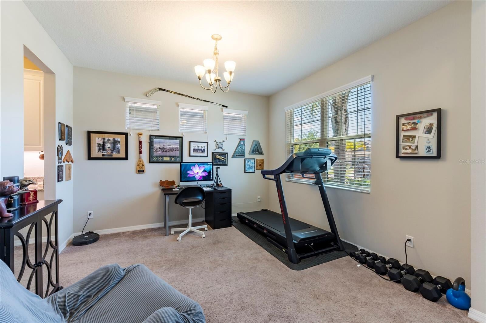 11420 Amapola Bloom Ct, Riverview, FL 33579 photo