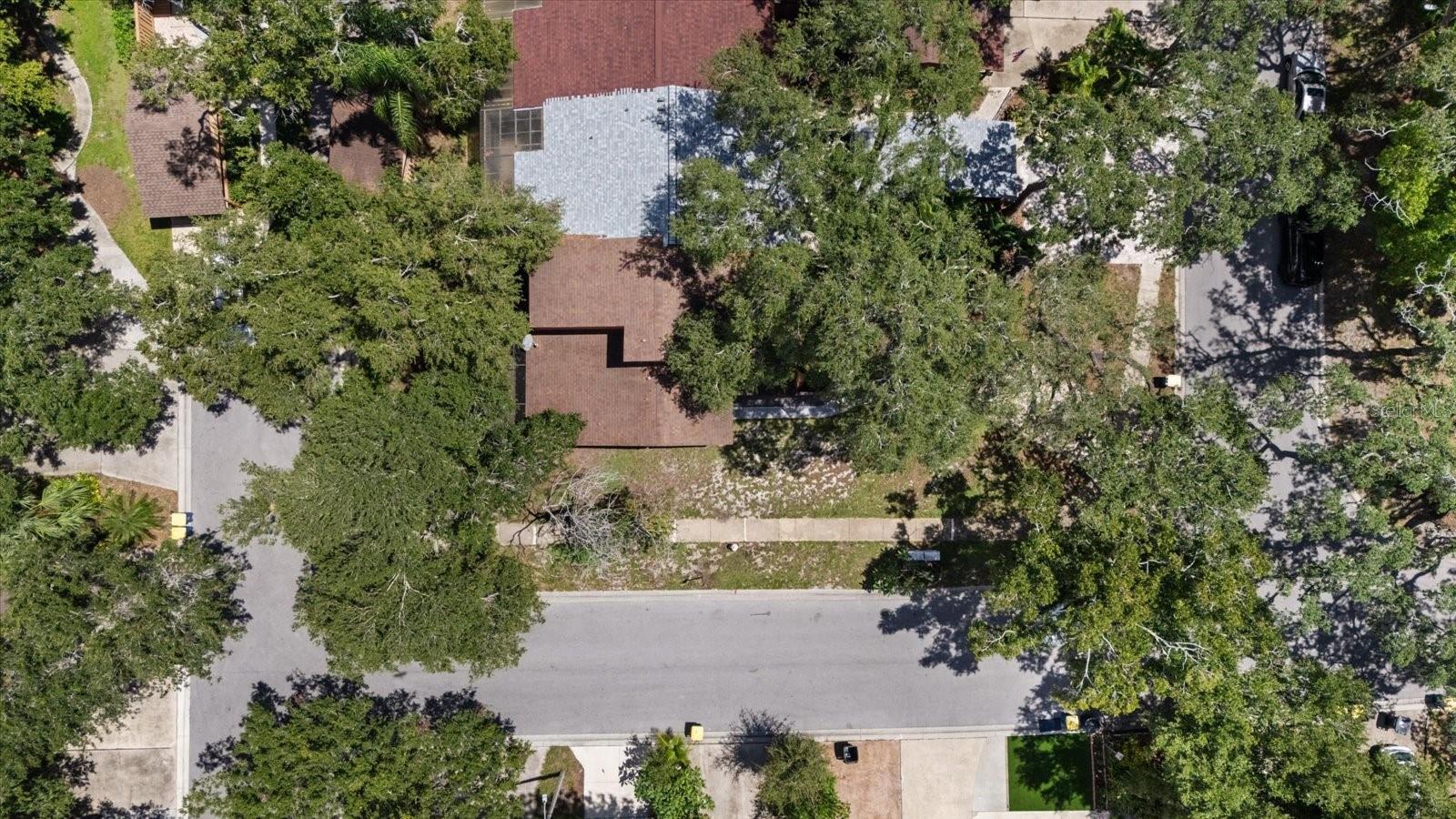 803 Fairwood Ln, Clearwater, FL 33759 photo