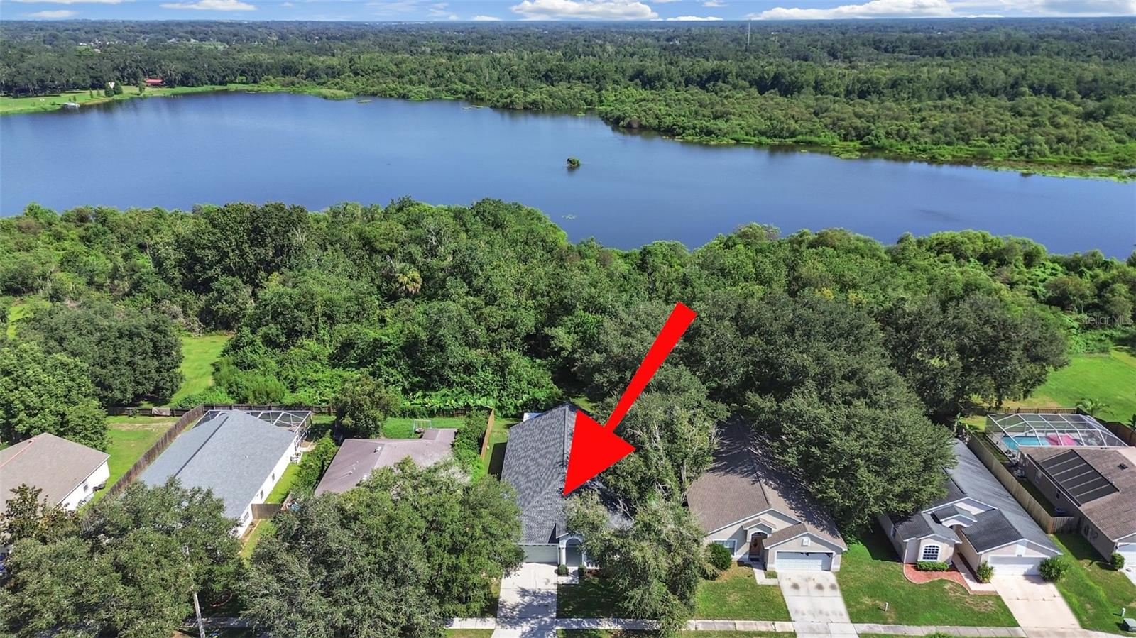 1423 Lake Shore Ranch Dr, Seffner, FL 33584 photo