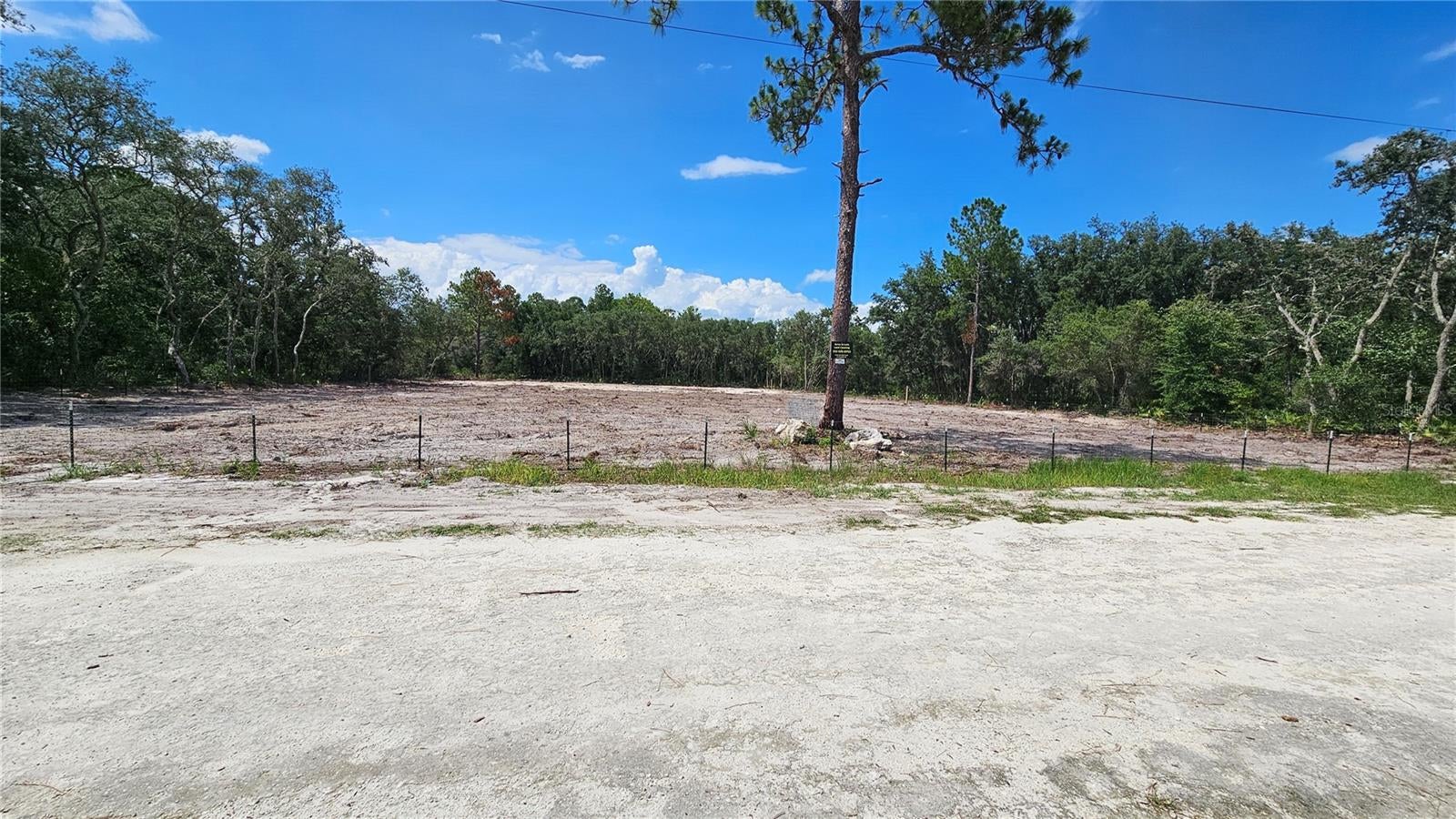 35391 Overcup Dr, Webster, FL 33597 photo