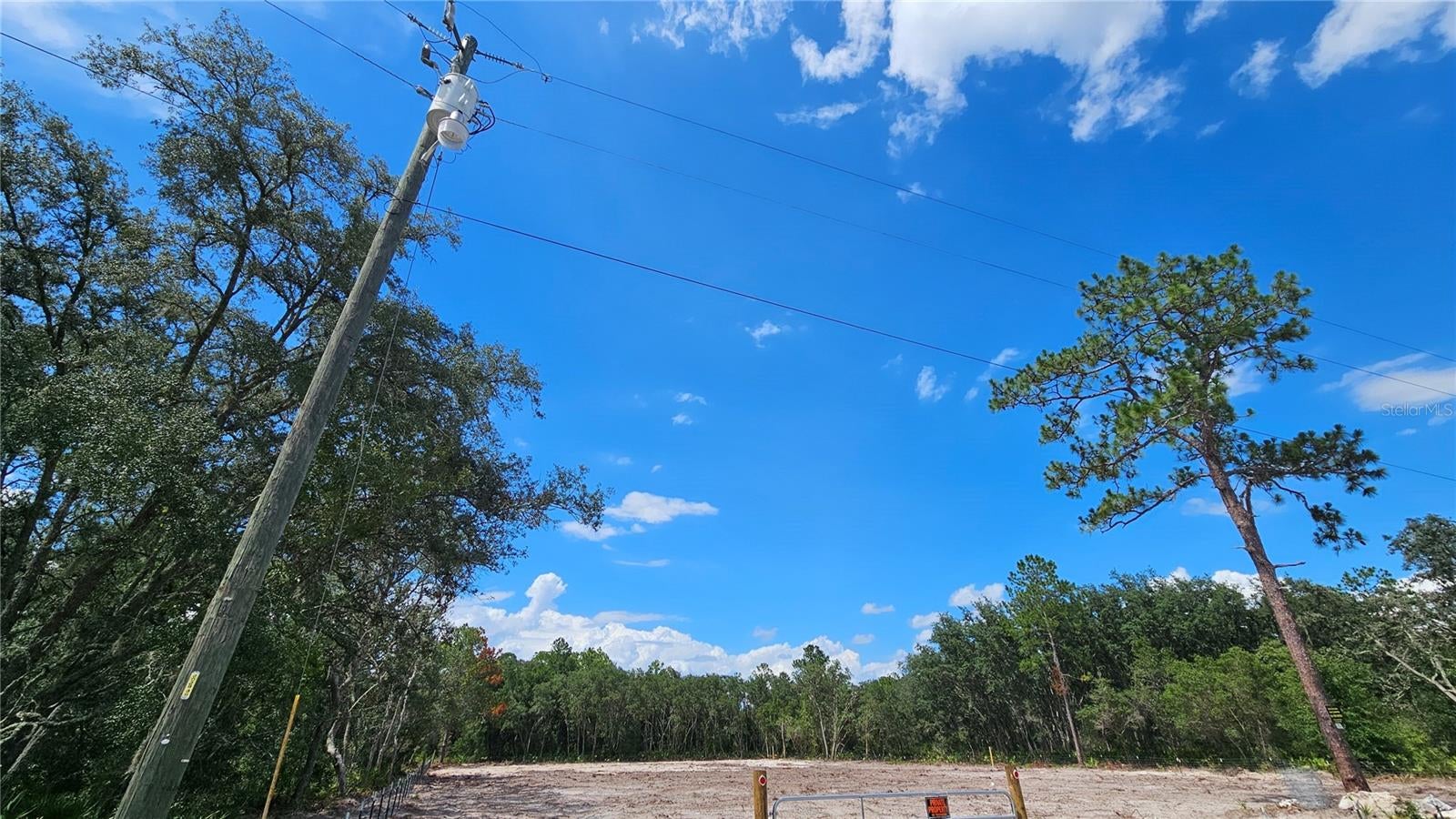 35391 Overcup Dr, Webster, FL 33597 photo