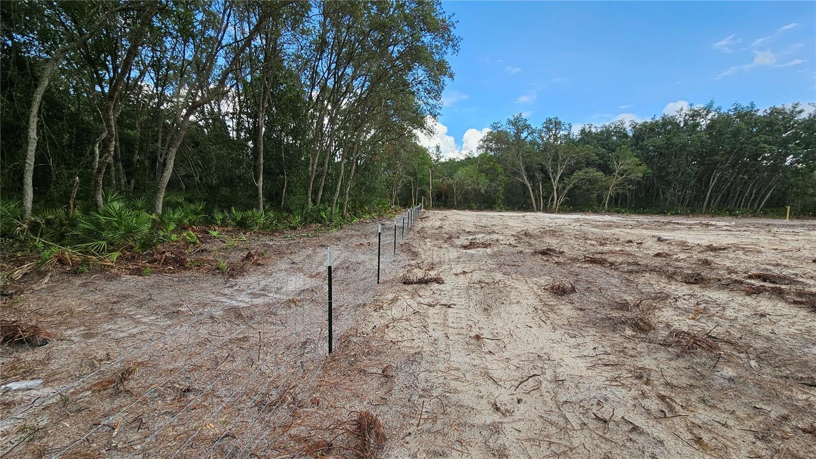 35391 Overcup Dr, Webster, FL 33597 photo