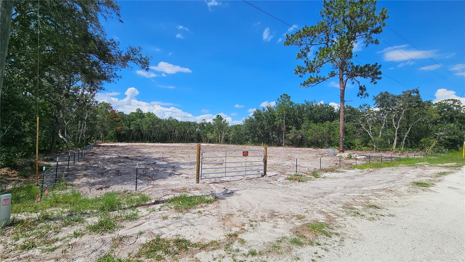 35391 Overcup Dr, Webster, FL 33597 photo