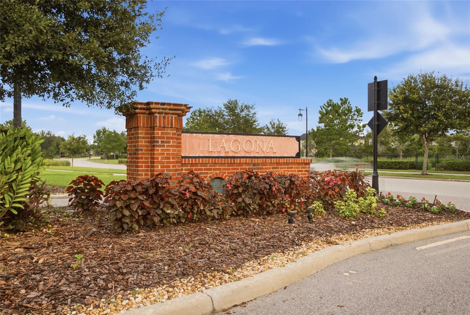 4667 San Martino Dr, Wesley Chapel, FL 33543 photo