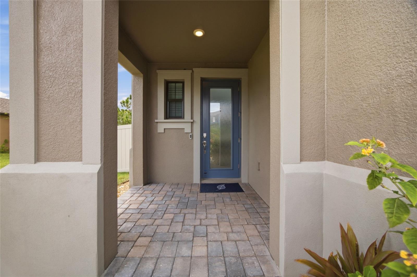 4667 San Martino Dr, Wesley Chapel, FL 33543 photo