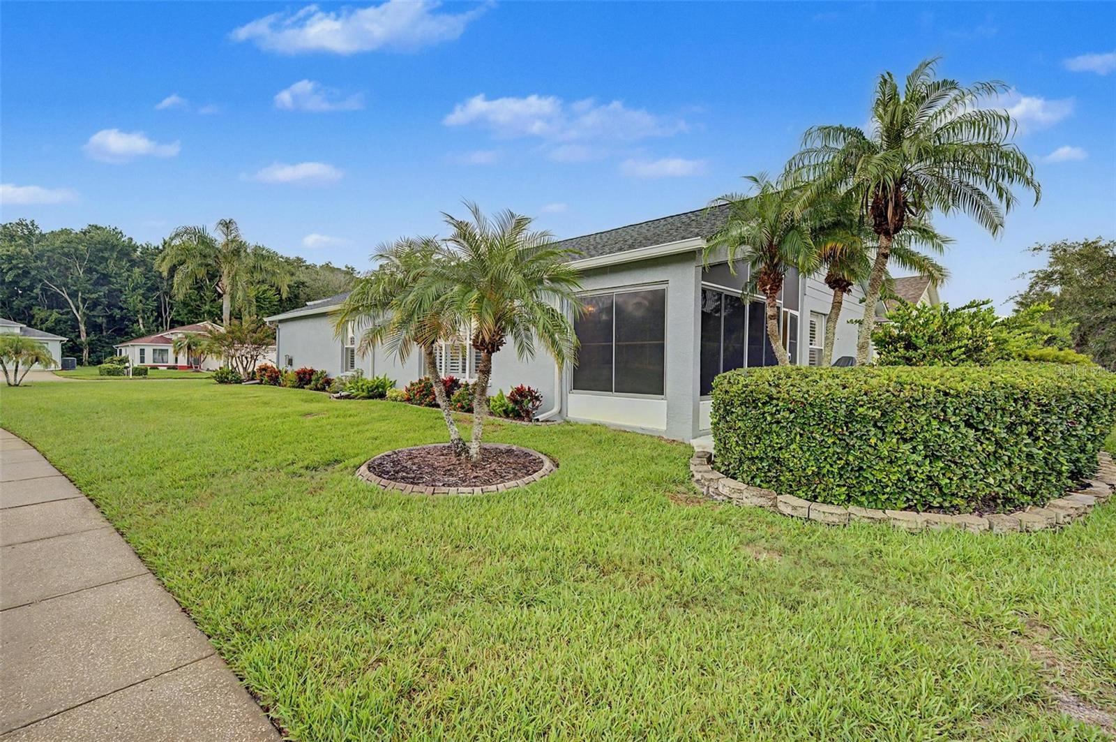 1004 Sweet Jasmine Dr, Trinity, FL 34655 photo