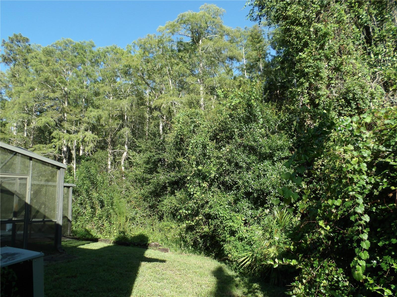 7222 Auburn Ln, New Port Richey, FL 34654 photo