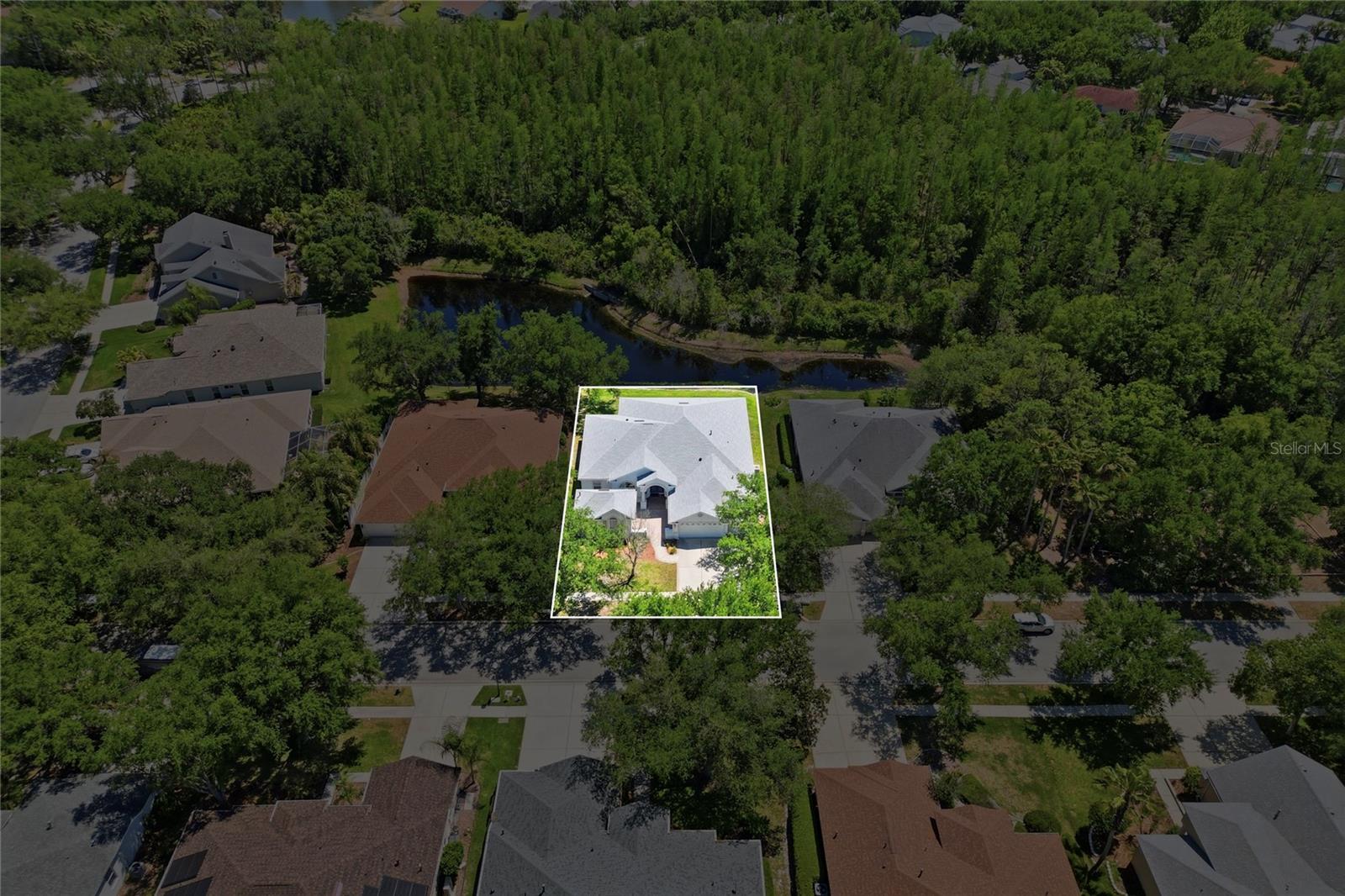 10206 Shadow Branch Dr, Tampa, FL 33647 photo